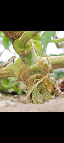 Growreport Bild 18