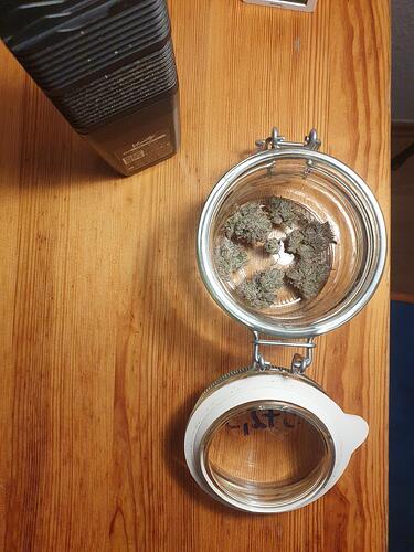 Growreport Bild 9