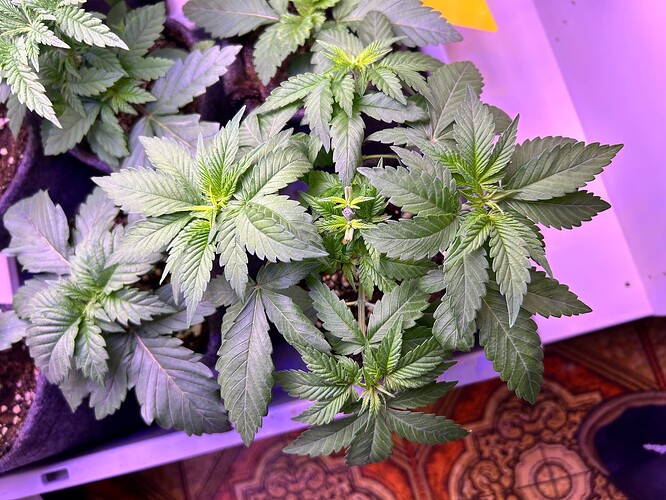 Growreport Bild 21
