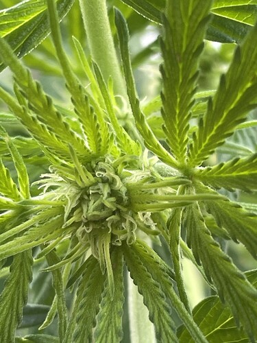 Growreport Bild 22