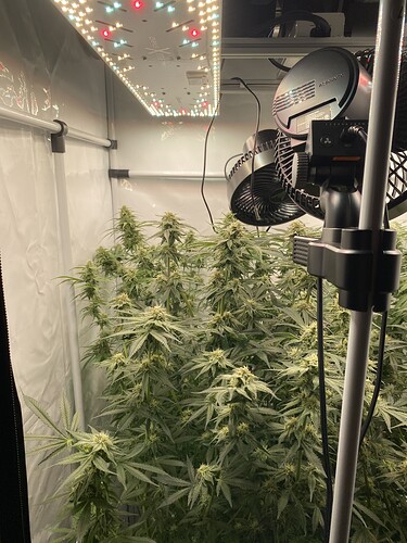 Growreport Bild 3