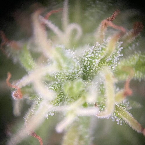 Growreport Bild 22