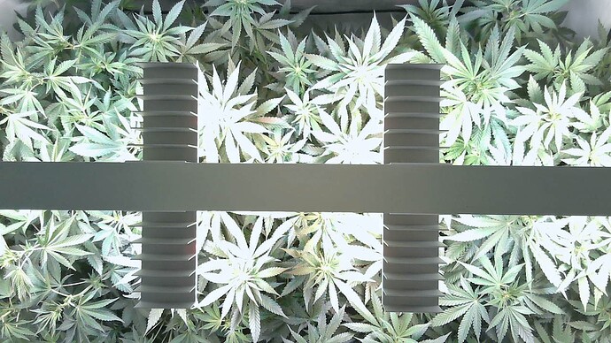 Growreport Bild 13