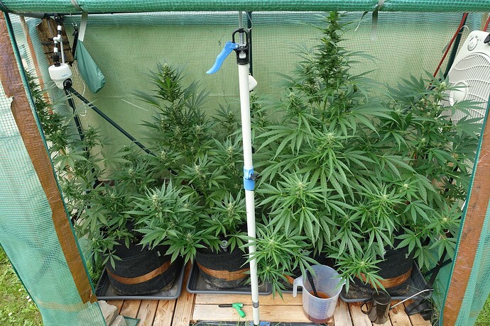 Growreport Bild 14