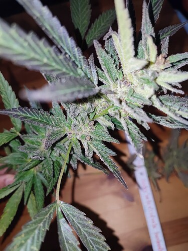 Growreport Bild 11