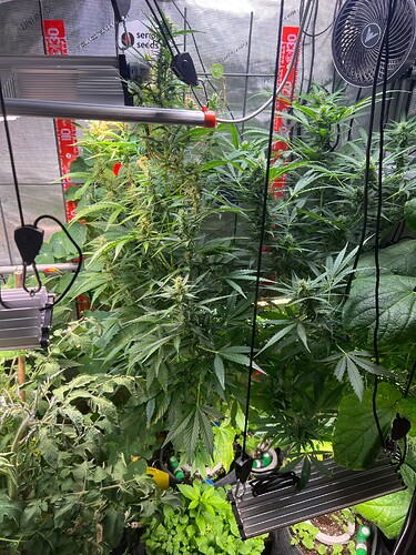 Growreport Bild 4