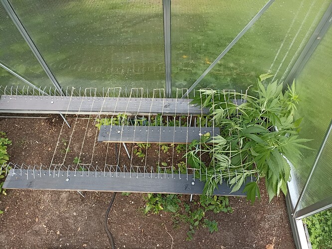 WhatsApp Bild 2025-06-08 um 15.48.04_14c24c0d