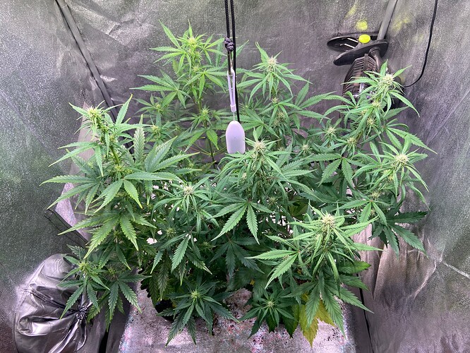 Growreport Bild 2
