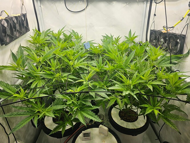 Growreport Bild 10