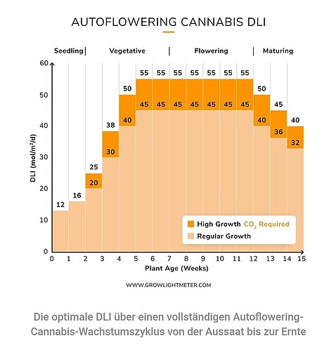 Dli-auto
