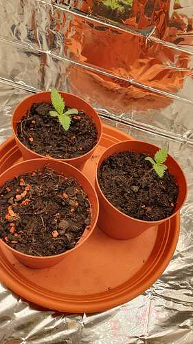 WhatsApp Bild 2024-04-16 um 10.55.37_07059a54