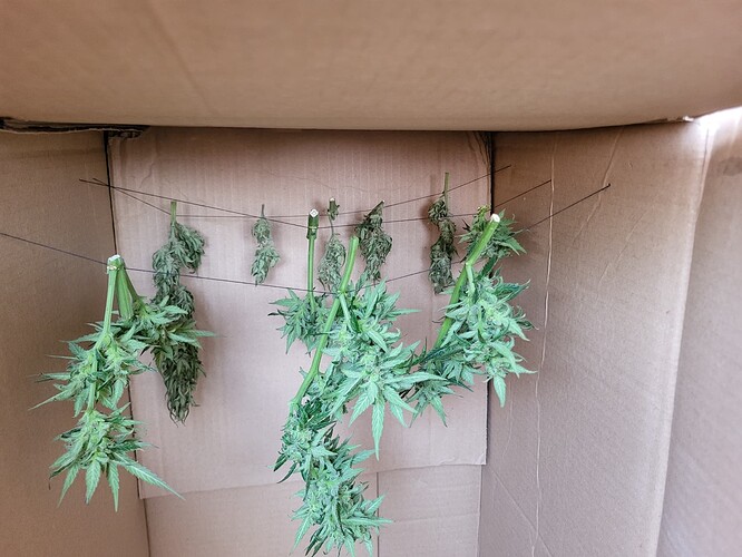 Growreport Bild 4