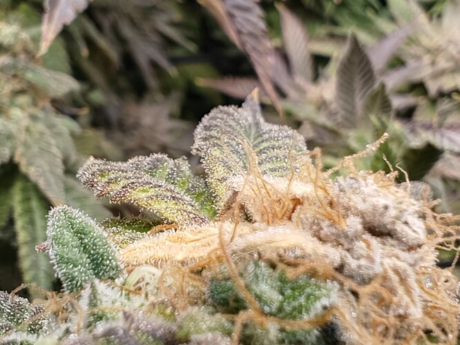 Growreport Bild 11