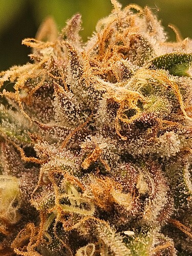 Growreport Bild 11