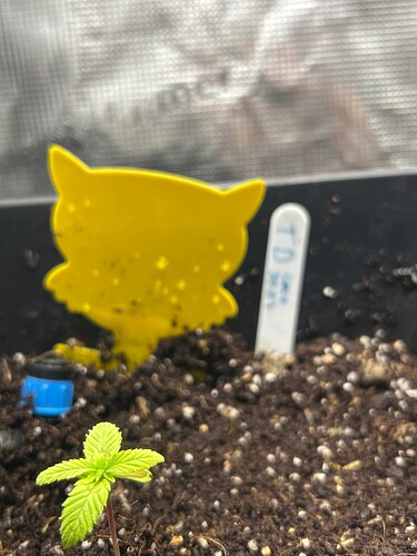 Growreport Bild 35