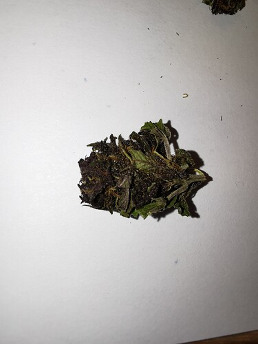 Growreport Bild 16