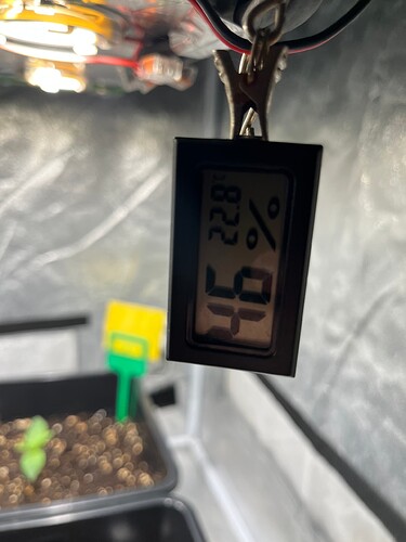 Foto 29.11.24, 17 02 10