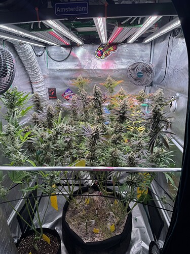 Growreport Bild 24
