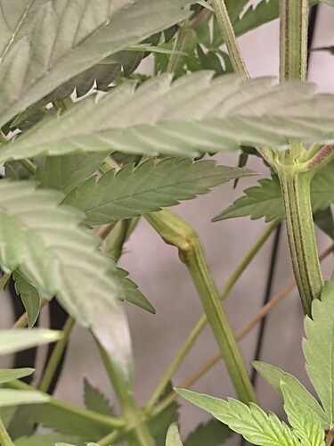 Growreport Bild 14