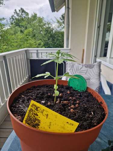 WhatsApp Image 2024-05-27 at 12.39.42 (1)