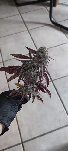 IMG_20250706_223435