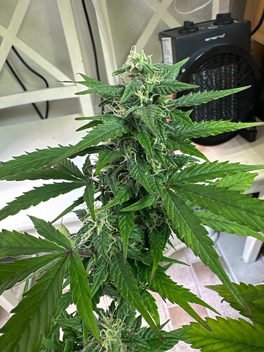 Growreport Bild 10