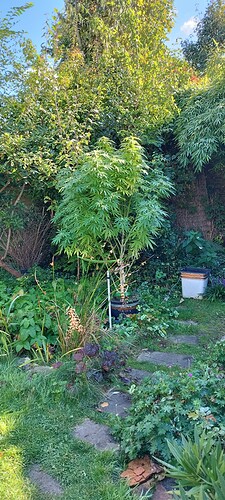 Growreport Bild 15