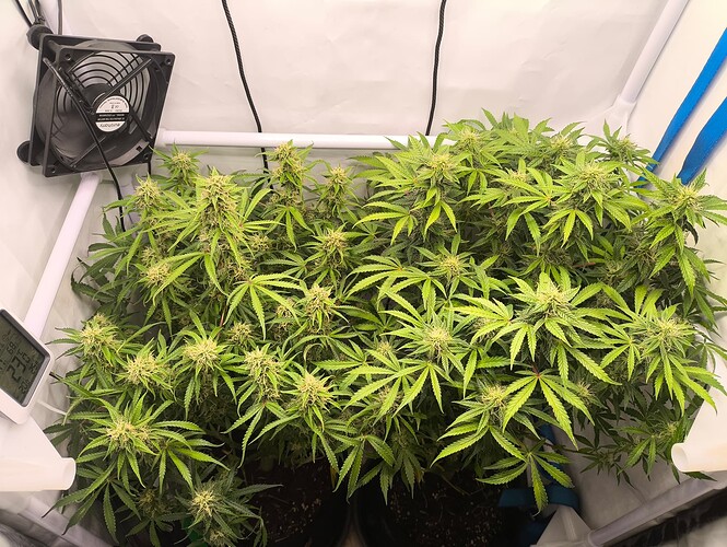 Growreport Bild 13