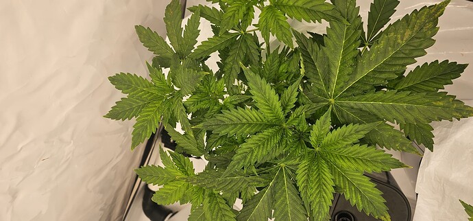 Growreport Bild 6