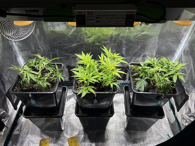 Growreport Bild 11
