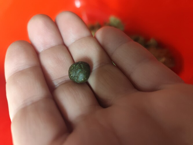 Growreport Bild 3