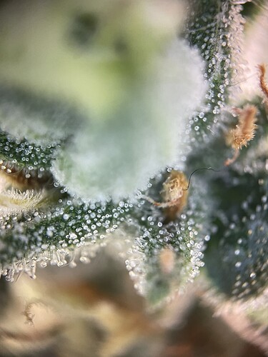 Growreport Bild 24