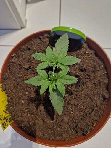 WhatsApp Image 2024-05-18 at 09.14.11