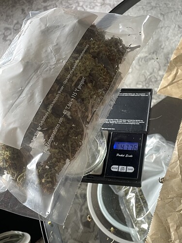 Growreport Bild 6
