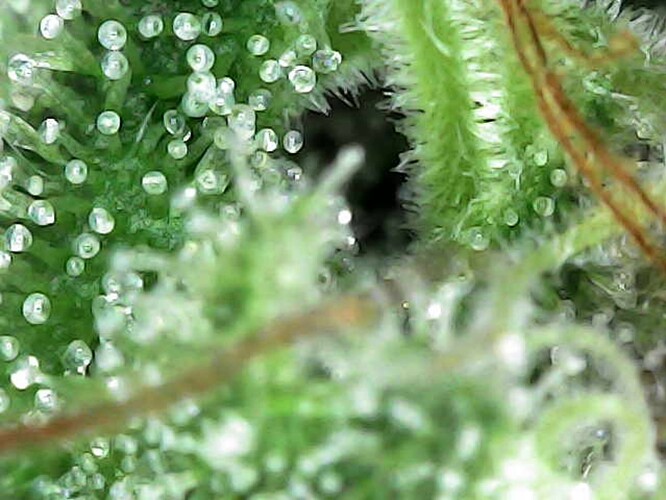 Photo_2025-04-21 11_55_38_854