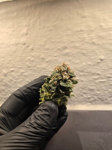 Growreport Bild 9