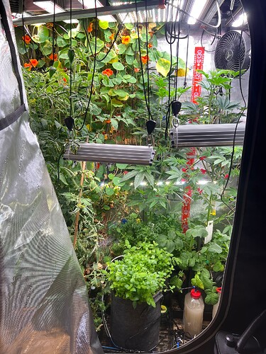 Growreport Bild 3