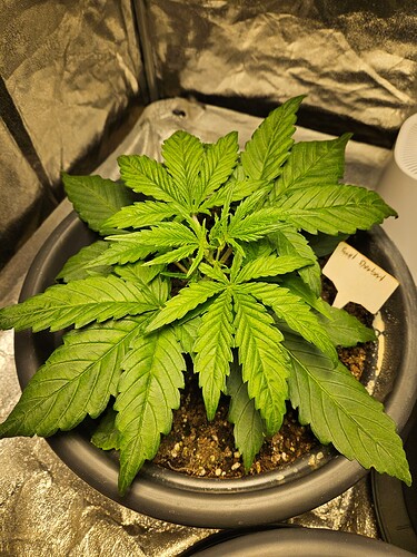 Growreport Bild 13
