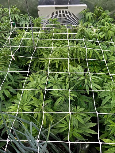 Growreport Bild 12
