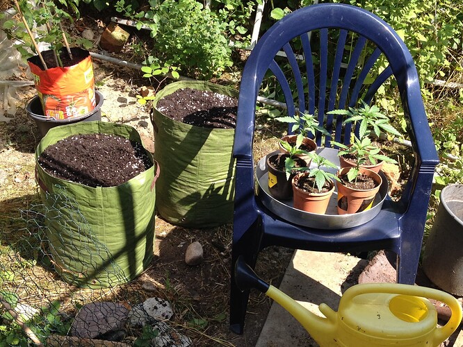 Growreport Bild 37