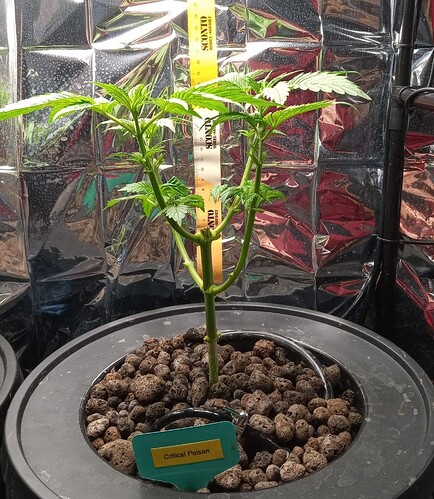 Growreport Bild 2