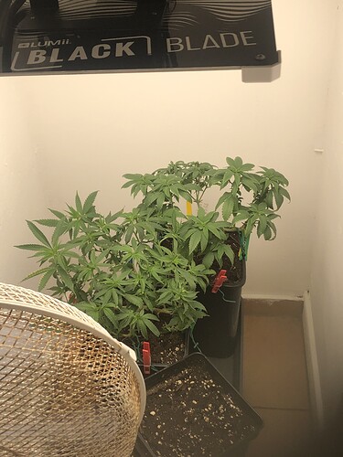Growreport Bild 26