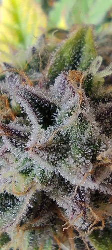 Growreport Bild 11