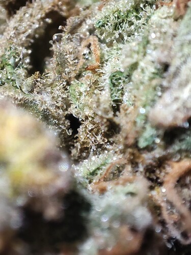 Growreport Bild 16