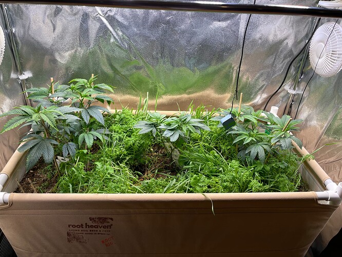 Growreport Bild 5
