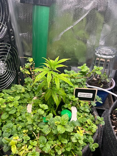 Growreport Bild 11