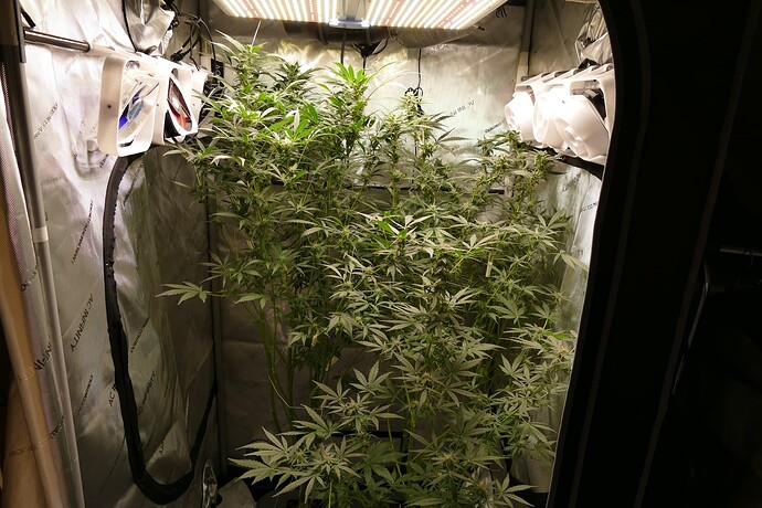 Growreport Bild 5