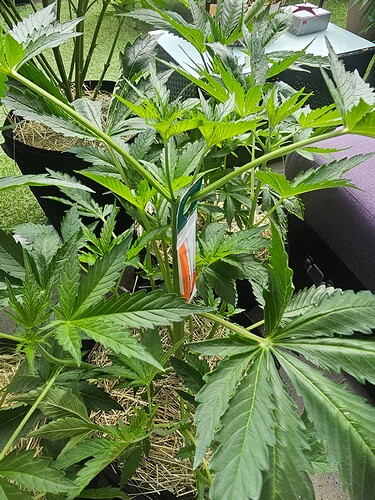Growreport Bild 11