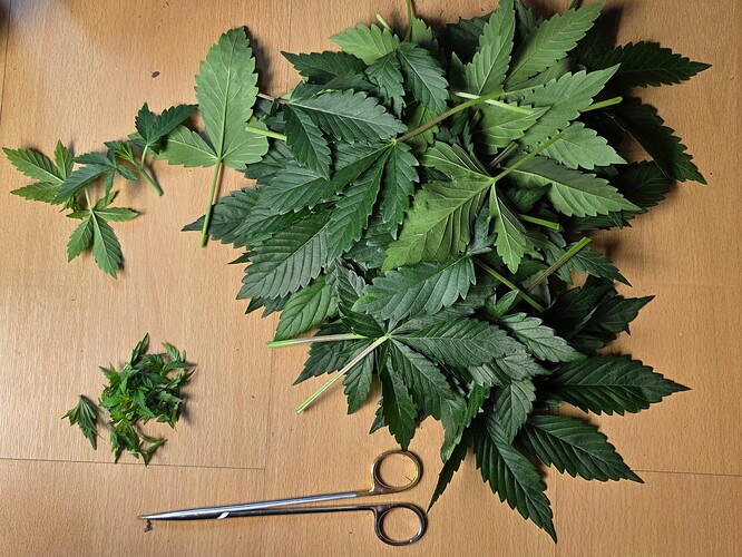 Growreport Bild 2