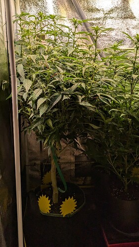 Growreport Bild 12